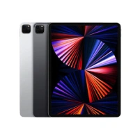 ipad rental